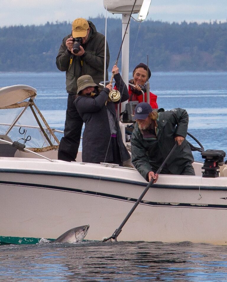 Salmon fishing bc, halibut fishing bc